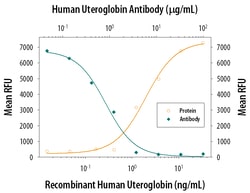 Human Uteroglobin/SCGB1A1 Antibody, R D Systems 25&mu;g; Unlabeled:Antikörper