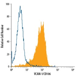 anti-VCAM-1/CD106, PerCP, Clone: IE10, R D Systems 100 Tests; PerCP:Antibodies,