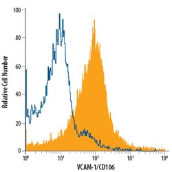 anti-VCAM-1/CD106, Alexa Fluor 700, Clone: IE10, R D Systems 100 Tests;