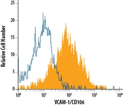 Mouse VCAM-1/CD106 Antibody, R D Systems:Antibodies:Primary Antibodies