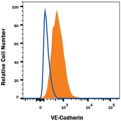 Mouse VE-Cadherin Antibody, R D Systems 100ug; Unlabeled:Antibodies, Monoclonal