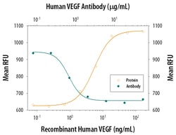 Human VEGF165 Antibody, R D Systems 1mg; Unlabeled:Antibodies, Polyclonal