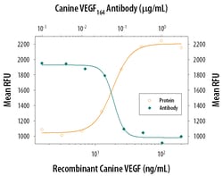 Canine VEGF164 Antibody, R D Systems 25&mu;g; Unlabeled:Antibodies, Polyclonal