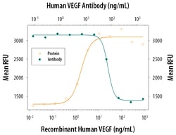 Human VEGF165 Antibody, R D Systems 25 &mu;g | Buy Online | R&D Systems | Fisher Scientific