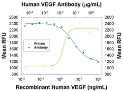 Human/Primate VEGF Antibody, R D Systems 100&mu;g; Unlabeled:Antibodies,