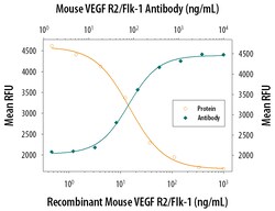 Mouse VEGFR2/KDR/Flk-1 Antibody, R D Systems 25&mu;g; Unlabeled:Antibodies,