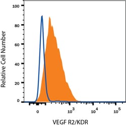 Human VEGFR2/KDR/Flk-1 Antibody, R D Systems:Antibodies:Primary Antibodies