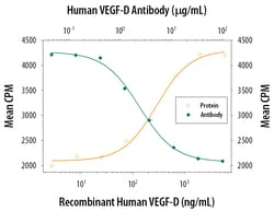 Human VEGF-D Antibody, R D Systems 25 &mu;g | Buy Online | R&D Systems | Fisher Scientific