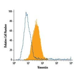 Human/Mouse/Rat Vimentin PE-conjugated Antibody, R D Systems 100 Tests;