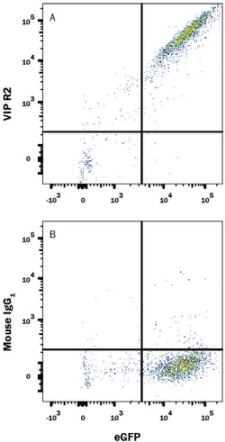 Human VIPR2 PE-conjugated Antibody, R D Systems 25 Tests; PE:Antibodies,