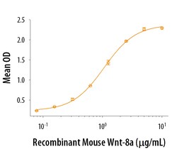 R D Systems Recombinant Mouse Wnt-8a Protein Lyophilized from a 0.2&mu;m filtered solution in PBS, NaCl, EDTA and CHAPS | Buy Online | R&amp;D Systems&trade; | Fisher Scientific