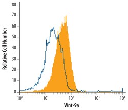 Human Wnt-9a Antibody, R D Systems 25 &mu;g | Buy Online | R&D Systems | Fisher Scientific