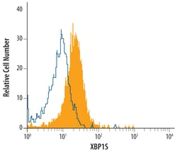 Human XBP1 (S Isoform) Antibody, R D Systems 25&mu;g; Unlabeled:Antibodies,