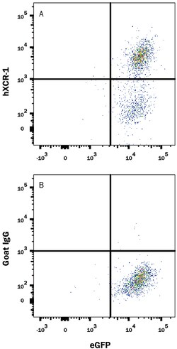 Human XCR1 Antibody, R D Systems 25&mu;g; Unlabeled:Antibodies, Polyclonal