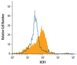Human XCR1 Antibody, R D Systems 25&mu;g; Unlabeled:Antibodies, Polyclonal