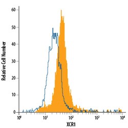 anti-Human XCR1, Fluorescein, Polyclonal, R D Systems 25 Tests; Fluorescein:Antibodies,