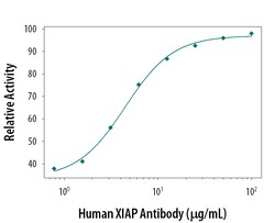 Human XIAP Antibody, R D Systems 100ug; Unlabeled:Antibodies, Monoclonal