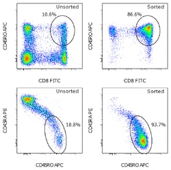 Invitrogen eBioscience MagniSort Human CD8 Memory T cell Enrichment Kit 200 Tests | Buy Online | Invitrogen&trade; | Fisher Scientific