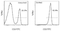 eBioscience MagniSort Mus T-cellsanrikningssats 200 tester | Buy Online | eBioscience | Fisher Scientific