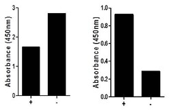 Invitrogen Beta-Catenin (gesamt/phospho) Multispezies InstantOne ELISA-Kit 96 Tests | Buy Online | Invitrogen&trade; | Fisher Scientific