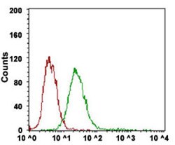 DSG3 Mouse anti-Human, Clone: 6G2C11, Abnova 100&mu;g; Unlabeled:Antibodies,