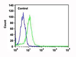 PPARA Mouse anti-Human, Mouse, Clone: 1331CT894.186.143, Abnova 400&mu;L;