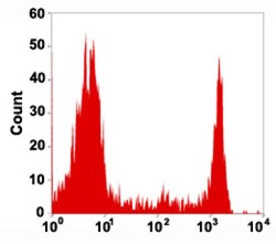 Abnova Corporation CD8A Mouse anti-Human, Clone: COV8, Abnova™