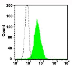 MME Mouse anti-Human, FITC, Clone: COCL, Abnova 50 Reactions; FITC:Antibodies,