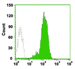 ITGAL Mouse anti-Human, FITC, Clone: 4A122, Abnova 50 Reactions; FITC:Antibodies,