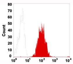 CD86 Mouse anti-Human, FITC, Clone: K86, Abnova 50 Reactions; FITC:Antibodies,