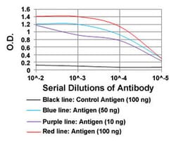 PAX5 Mouse anti-Human, Clone: 7D3, Abnova 50&mu;g; Unlabeled:Antibodies,
