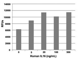 Abnova Human IL16 (AAC12732) Recombinant Protein 10 &mu;g | Buy Online | Abnova&trade; | Fisher Scientific