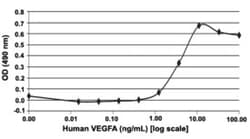Abnova Human VEGFA (NP_001165097) Recombinant Protein 10 &mu;g | Buy Online | Abnova&trade; | Fisher Scientific