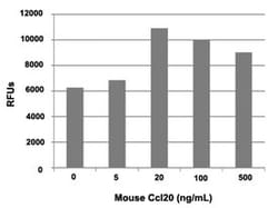Abnova Mouse Ccl20 (O89093) Recombinant Protein 20 &mu;g | Buy Online | Abnova&trade; | Fisher Scientific