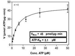 Abnova™ Human NUAK1 (NM_014840, 1 a.a. - 661 a.a.) Full-length Recombinant Protein with GST-His tag expressed in Sf9 cells