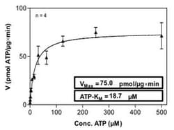 Abnova Human CDK4 (NM_000075, 4 a.a. - 303 a.a.) and CCND3 (NM_001760, 1 a.a. - 292 a.a.) Recombinant Protein with His tag expressed in Sf9 cells 100 &mu;g | Buy Online | Abnova&trade; | Fisher Scientific