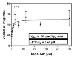 Abnova Human CSF1R (NM_005211.2, 543 a.a. - 972 a.a.) Partial Recombinant Protein with GST-His tag expressed in Sf9 cells 100 &mu;g | Buy Online | Abnova&trade; | Fisher Scientific