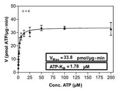 Abnova™ Human HCK (NM_002110, 1 a.a. - 505 a.a.) Full-length Recombinant Protein with GST-His tag expressed in Sf9 cells