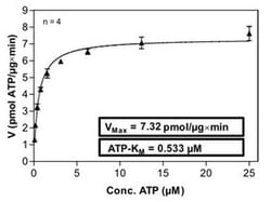 Abnova™ Human PAK6 (NM_020168, 1 a.a. - 681 a.a.) Full-length Recombinant Protein with GST-His tag expressed in Sf9 cells