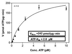 Abnova™ Human PRKCD (NM_006254.3, 1 a.a. - 675 a.a.) Full-length Recombinant Protein with GST-His tag expressed in Sf9 cells
