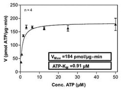 Abnova&trade;&nbsp;Human PRKCE (NM_005400, 1 a.a. - 737 a.a.) Full-length Recombinant Protein with GST-His tag expressed in Sf9 cells