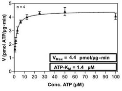 Abnova™ Human PRKD1 (NM_002742, 1 a.a. - 912 a.a.) Full-length Recombinant Protein with GST-His tag expressed in Sf9 cells