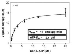 Abnova Human PRKD3 (AB015982.2, 3 a.a. - 890 a.a.) Partial Recombinant Protein expressed in Sf9 cells 100 &mu;g | Buy Online | Abnova&trade; | Fisher Scientific