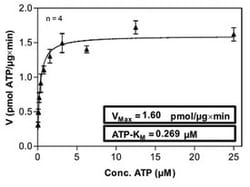 Abnova&trade;&nbsp;Human PKN1 (NM_002741, 1 a.a. - 942 a.a.) Full-length Recombinant Protein with GST-His tag expressed in Sf9 cells