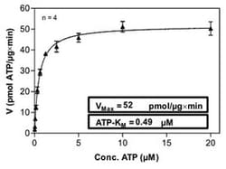 Abnova™ Human SRPK2 (NM_3138, 1 a.a. - 688 a.a.) Full-length Recombinant Protein with GST-His tag expressed in Sf9 cells