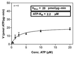 Abnova™ Human SYK (NM_003177, 1 a.a. - 635 a.a.) Full-length Recombinant Protein with GST-His tag expressed in Sf9 cells