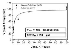 Abnova Human NTRK1 (NM_002529.2, 443 a.a. - 796 a.a.) Partial Recombinant Protein with GST-His tag expressed in Sf9 cells 100 &mu;g | Buy Online | Abnova&trade; | Fisher Scientific