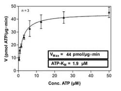 Abnova Human MET (NM_000245.2, 956 a.a. - 1390 a.a.) D1228H mutant Partial Protein expressed in Sf9 cells 100 &mu;g | Buy Online | Abnova&trade; | Fisher Scientific