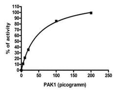 Abnova&trade;&nbsp;Human PAK1 kinase domain (Q13153, 248 a.a. - 545 a.a.) Partial Recombinant Protein