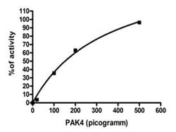 Abnova Human PAK4 kinase domain (O96013, 300 a.a. - 591 a.a.) Partial Recombinant Protein 10 &mu;g | Buy Online | Abnova&trade; | Fisher Scientific